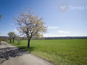 Prodej pole, Trnová, 179051 m2