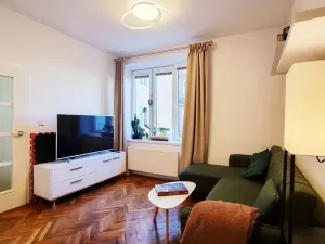 Pronájem bytu 1+1, Brno, Tučkova, 44 m2