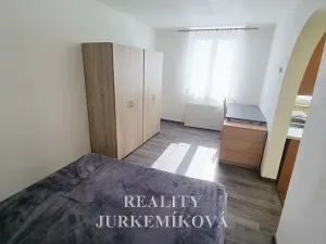 Pronájem bytu 1+kk, České Budějovice, 25 m2