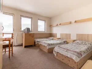 Pronájem bytu 1+kk, Mladá Boleslav, 25 m2