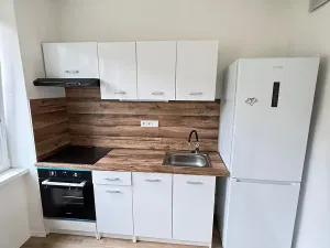 Pronájem bytu 2+1, Most, Alej Boženy Němcové, 58 m2