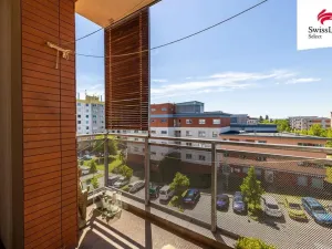 Pronájem bytu 4+kk, Plzeň, Brněnská, 110 m2