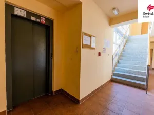 Pronájem bytu 4+kk, Plzeň, Brněnská, 110 m2