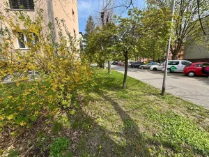 Prodej bytu 4+1, Kroměříž, Talichova, 96 m2