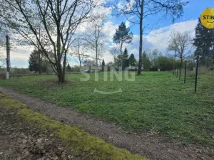 Prodej zahrady, Orlová, 533 m2