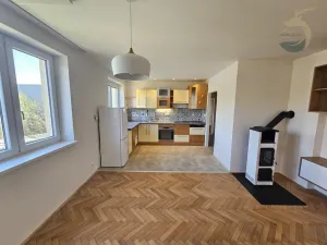 Prodej bytu 2+kk, Chlumčany, V Rumunsku, 52 m2