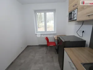 Pronájem bytu 1+kk, Přimda - Újezd pod Přimdou, 15 m2