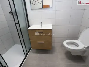 Pronájem bytu 1+kk, Přimda - Újezd pod Přimdou, 15 m2