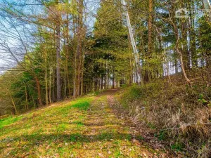 Prodej pozemku pro bydlení, Hošťálková, 1611 m2