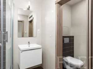 Pronájem bytu 1+kk, Praha - Vršovice, Petrohradská, 30 m2