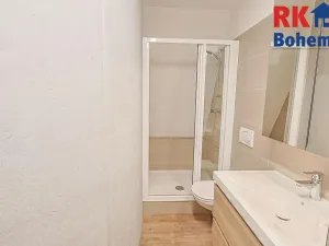 Pronájem bytu 4+1, Praha - Žižkov, Na Jarově, 122 m2