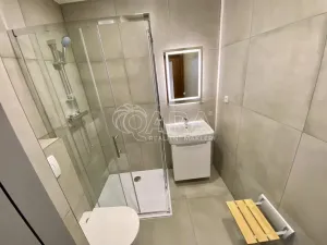 Pronájem bytu 1+1, Vyškov - Vyškov-Předměstí, 41 m2