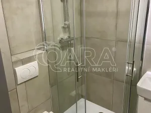 Pronájem bytu 1+1, Vyškov - Vyškov-Předměstí, 41 m2