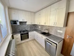 Pronájem bytu 1+1, Vyškov - Vyškov-Předměstí, 41 m2