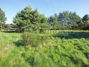 Prodej zahrady, Mělník, 9817 m2