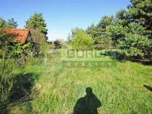Prodej zahrady, Mělník, 9817 m2