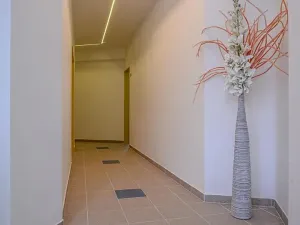 Pronájem bytu 1+kk, Praha - Hlubočepy, Na Zlíchově, 20 m2