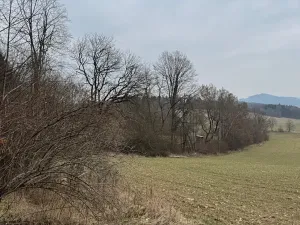 Prodej pole, Hlavňovice, 11738 m2