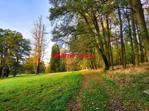 Prodej domu, Luka nad Jihlavou, Nádražní, 2812 m2