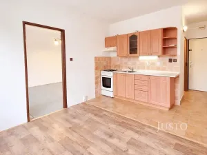 Prodej bytu 1+1, Písek, třída Přátelství, 38 m2