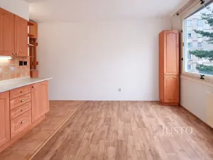 Prodej bytu 1+1, Písek, třída Přátelství, 38 m2