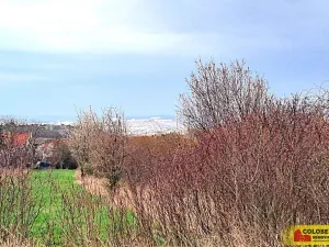 Prodej zahrady, Brno, 863 m2