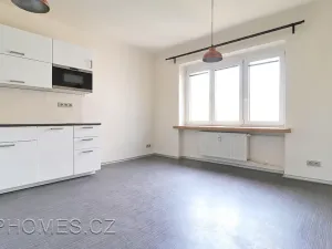 Pronájem bytu 2+1, Praha - Žižkov, Biskupcova, 81 m2