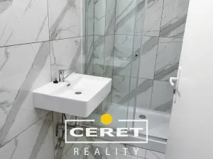 Prodej komerční nemovitosti, Žatec, Dvořákova, 139 m2