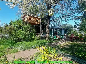 Prodej zahrady, Praha, Na Balkáně, 250 m2