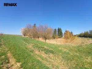 Prodej louky, Nemyšl, 20659 m2