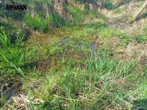 Prodej louky, Nemyšl, 20659 m2