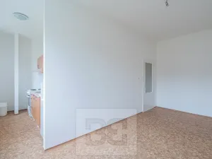 Prodej bytu 1+kk, Praha - Vysočany, Podnádražní, 30 m2