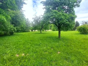 Prodej pozemku pro bydlení, Pecka, 1250 m2