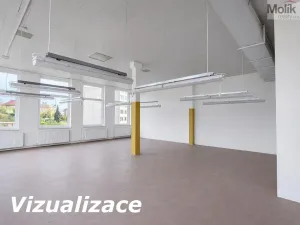 Pronájem výrobních prostor, Teplice - Trnovany, Thámova, 110 m2