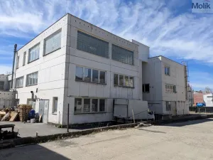 Pronájem výrobních prostor, Teplice, Pražská, 351 m2