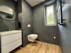 Pronájem bytu 3+1, Meziboří, Májová, 61 m2