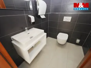 Pronájem obchodního prostoru, Zbraslavice, 1320 m2