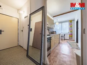 Prodej bytu 2+1, Strakonice - Strakonice I, Mlýnská, 54 m2