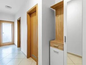 Pronájem bytu 1+kk, Družec, Na Maninách, 41 m2