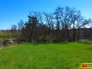 Prodej zahrady, Želešice, 776 m2