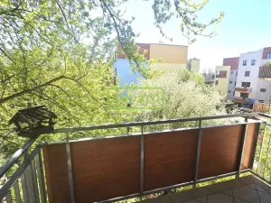 Pronájem bytu 3+kk, Praha, Vladycká, 55 m2