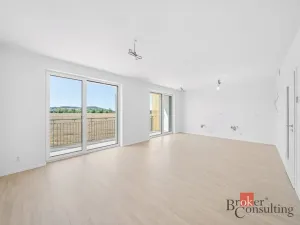 Prodej bytu 4+kk, Plzeň - Litice, 100 m2