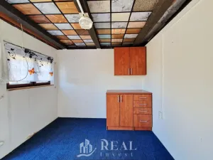 Prodej zahrady, Braňany, Pod Školou, 264 m2