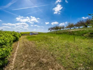 Prodej pozemku pro bydlení, Hovorany, 928 m2