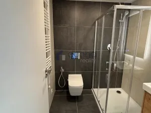 Pronájem bytu 2+kk, Praha, Gerstelova, 67 m2