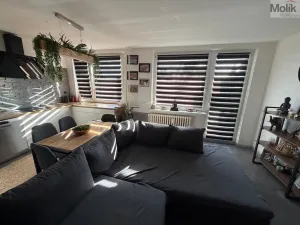 Prodej bytu 3+1, Most, Lidická, 69 m2