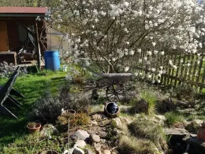 Prodej zahrady, Žlutice, Smetanova, 569 m2