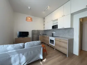 Pronájem bytu 1+kk, Ostrava - Moravská Ostrava, 28. října, 30 m2