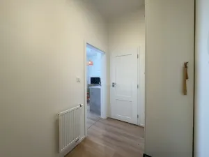 Pronájem bytu 1+kk, Ostrava - Moravská Ostrava, 28. října, 30 m2