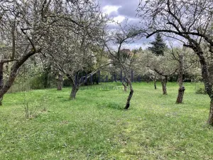 Pronájem zahrady, Brno, Terezy Novákové, 2336 m2